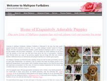 Tablet Screenshot of maltipoofurbabies.com